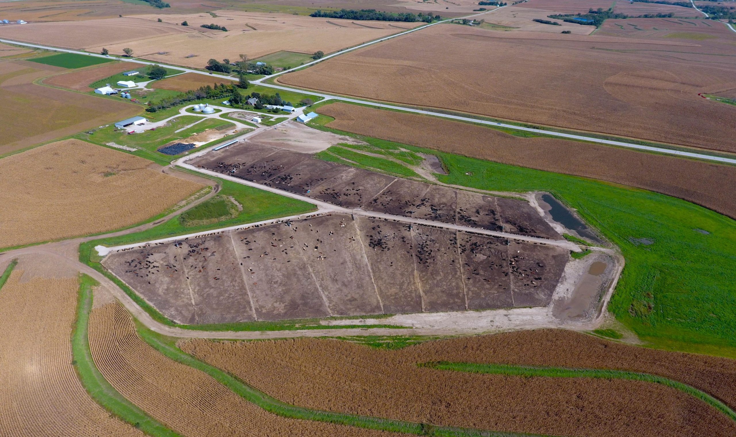 aerial-drone Gregory Feedlots