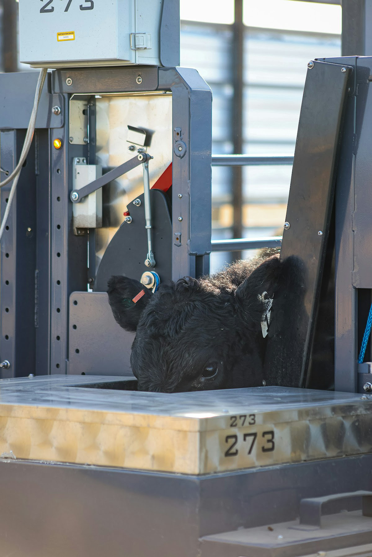 smartwater C-Lock Smart Water